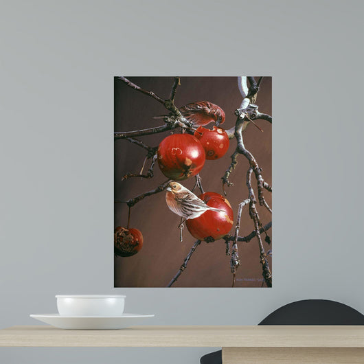Winter Apples Wall Decal