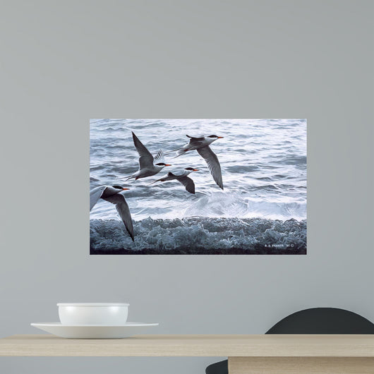 Above Waves Common Terns Wall Decal
