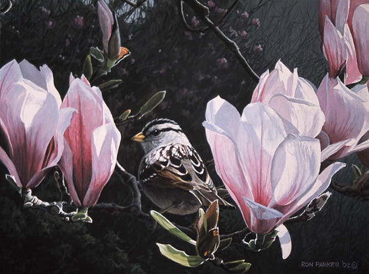 Sparrow Magnolia Wall Decal