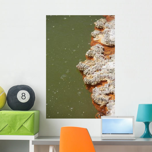 Bubbles Rising Champagne Pool Wall Decal Design 1