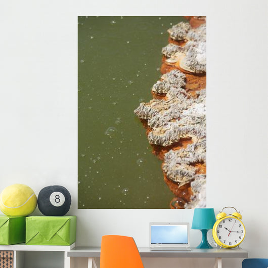 Bubbles Rising Champagne Pool Wall Decal Design 1