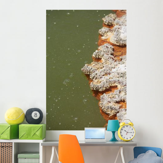 Bubbles Rising Champagne Pool Wall Decal Design 1