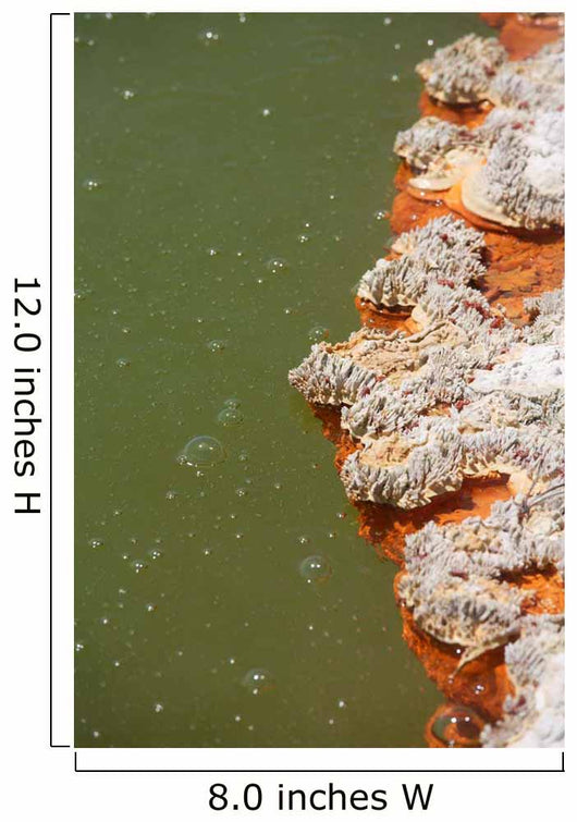 Bubbles Rising Champagne Pool Wall Decal Design 1