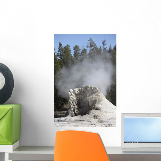 Giant Geyser Steaming Geyserite Wall Decal