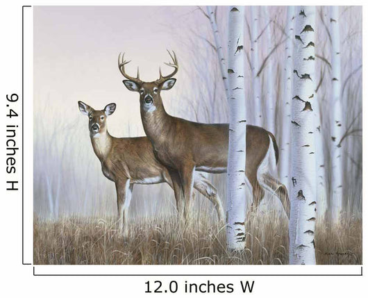 Deer In Birch Woods Wall Mural