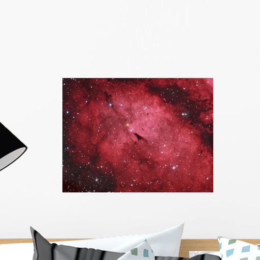 Sadr Region Constellation Cygnus Wall Decal