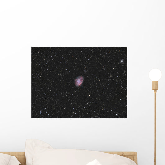 Crab Nebula Supernova Remnant Wall Decal