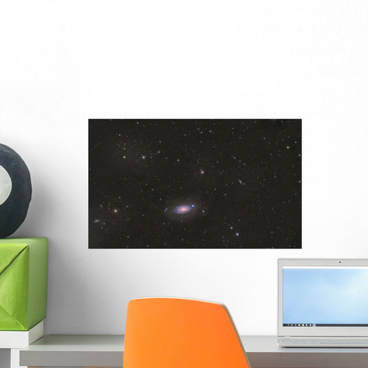 Sunflower Galaxy Wall Decal