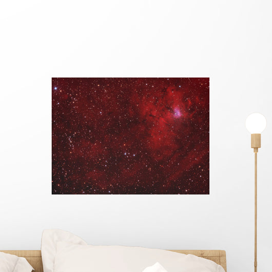 Emission Nebula Iin Perseus Wall Decal