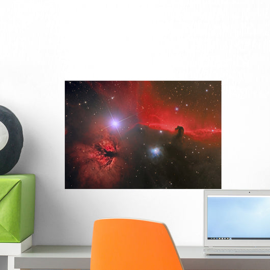 Horsehead Nebula Constellation Orion Wall Decal