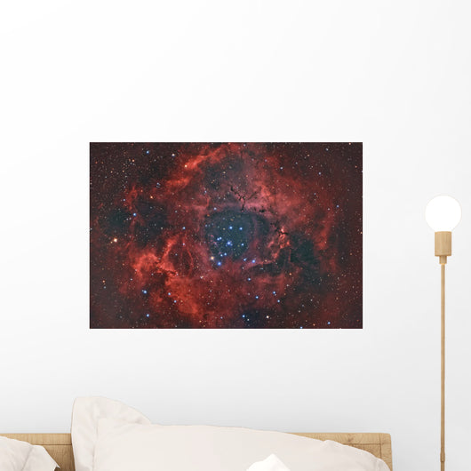 Rosette Nebula Wall Decal