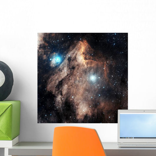 Pelican Nebula Wall Decal