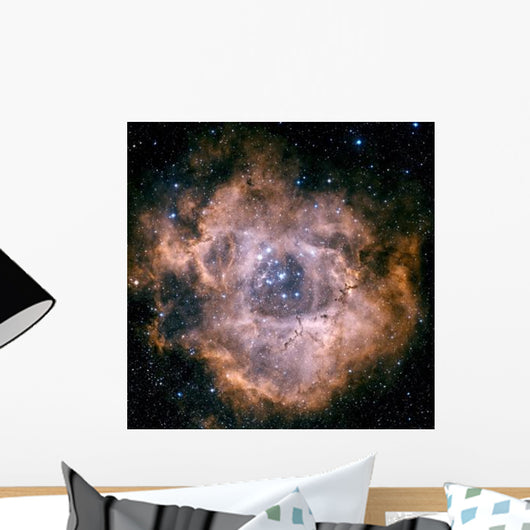 Rosette Nebula Wall Decal