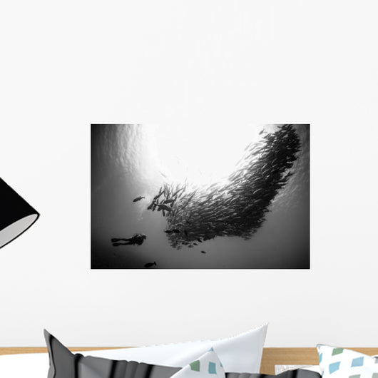 Diver Looks Schooling Jacks Wall Decal Design 5