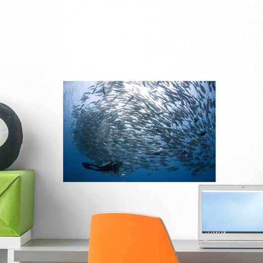 Diver Looks Schooling Jacks Wall Decal Design 4
