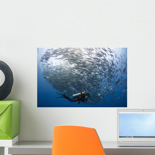 Diver Looks Schooling Jacks Wall Decal Design 3