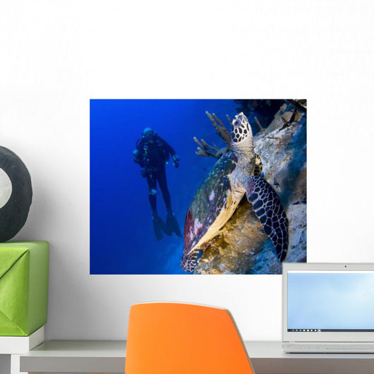 Hawksbill Turtle Resting Reef Wall Decal Design 2