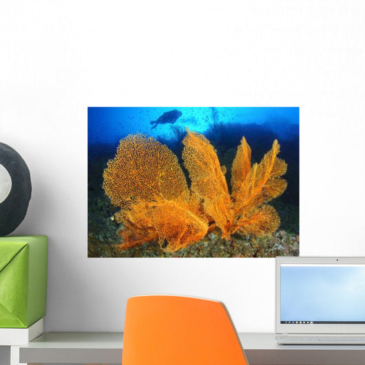 Diver Looks Large Gorgonian Wall Decal Design 3