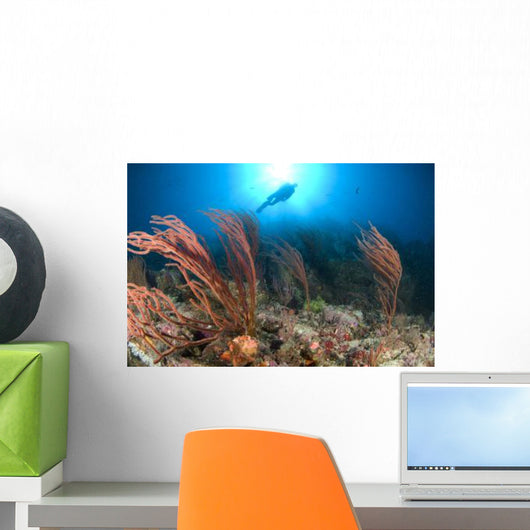 Diver Looks Sea Fans Wall Decal