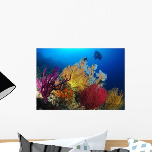 Diver Looks Colorful Reef Wall Decal Design 2