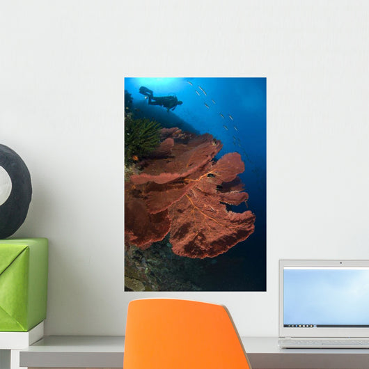 Diver Looks Large Gorgonian Wall Decal Design 1