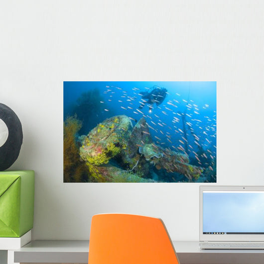 Diver Explores Wreck Japanese Wall Decal Design 1