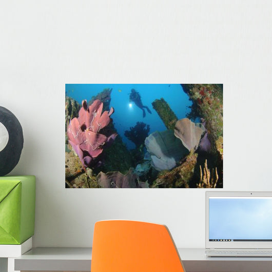 Elephant Ear Sponge Attached Wall Decal Design 3