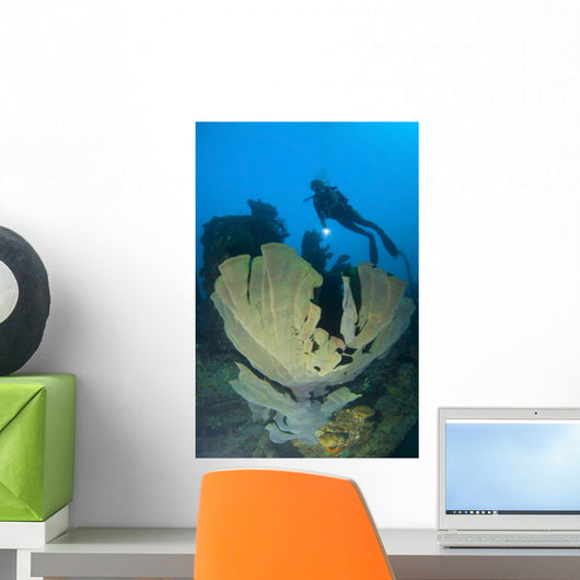 Elephant Ear Sponge Attached Wall Decal Design 2