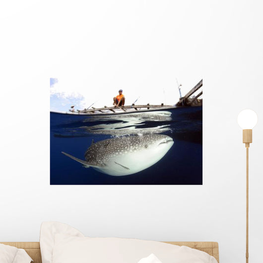 Whale Shark Feeding under Wall Decal Design 21