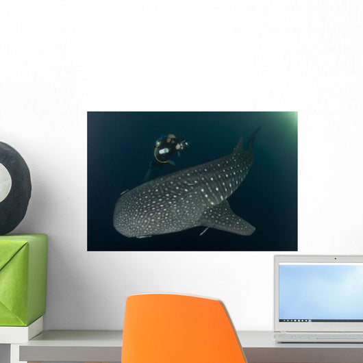 Scuba Diver and Whale Wall Decal