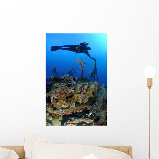 Diver Hangs to Piece Wall Decal