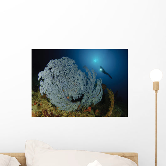 Very Rare Blue Sea Wall Decal Design 2