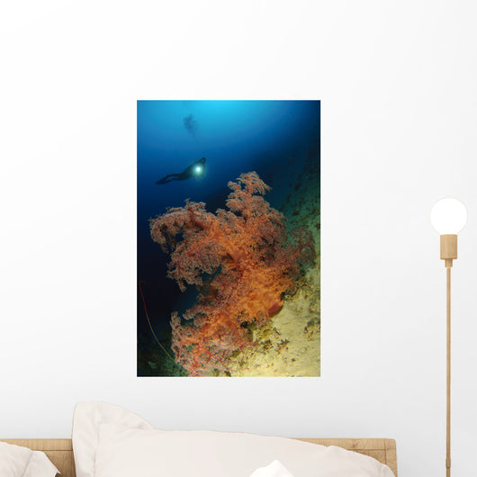 Close-up Soft Tree Coral Wall Decal Design 1
