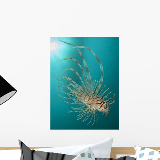 Close-up Lionfish Gorontalo Indonesia Wall Decal Design 1