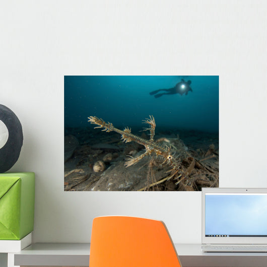 Ornate Ghost Pipefish amongst Wall Decal Design 1