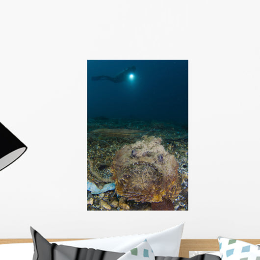 Diver Looks Giant Stonefish Wall Decal Design 2