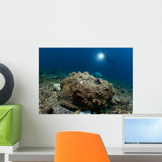 Diver Looks Giant Stonefish Wall Decal Design 1