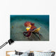 Coconut Octopus Lembeh Strait Wall Decal Design 13
