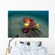 Coconut Octopus Lembeh Strait Wall Decal Design 13