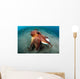 Coconut Octopus Lembeh Strait Wall Decal Design 11