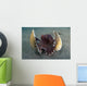 Coconut Octopus Lembeh Strait Wall Decal Design 9
