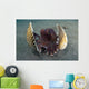 Coconut Octopus Lembeh Strait Wall Decal Design 9