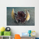 Coconut Octopus Lembeh Strait Wall Decal Design 9