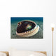 Coconut Octopus Lembeh Strait Wall Decal Design 6