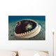 Coconut Octopus Lembeh Strait Wall Decal Design 6
