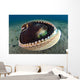 Coconut Octopus Lembeh Strait Wall Decal Design 6