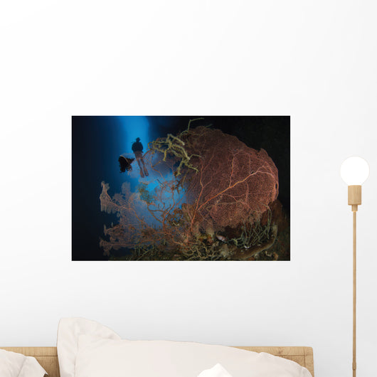 Diver Descends Cavern above Wall Decal