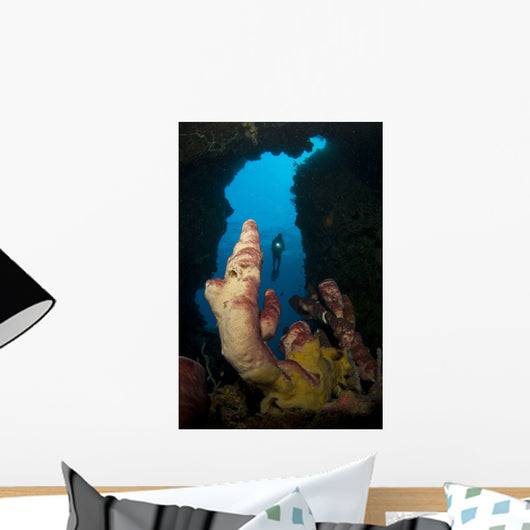Diver Looks into Cavern Wall Decal