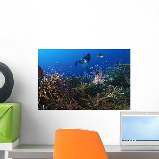 Diver Looks Lionfish Hovering Wall Decal