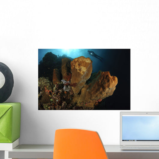 Large Sponge with Diver Wall Decal
